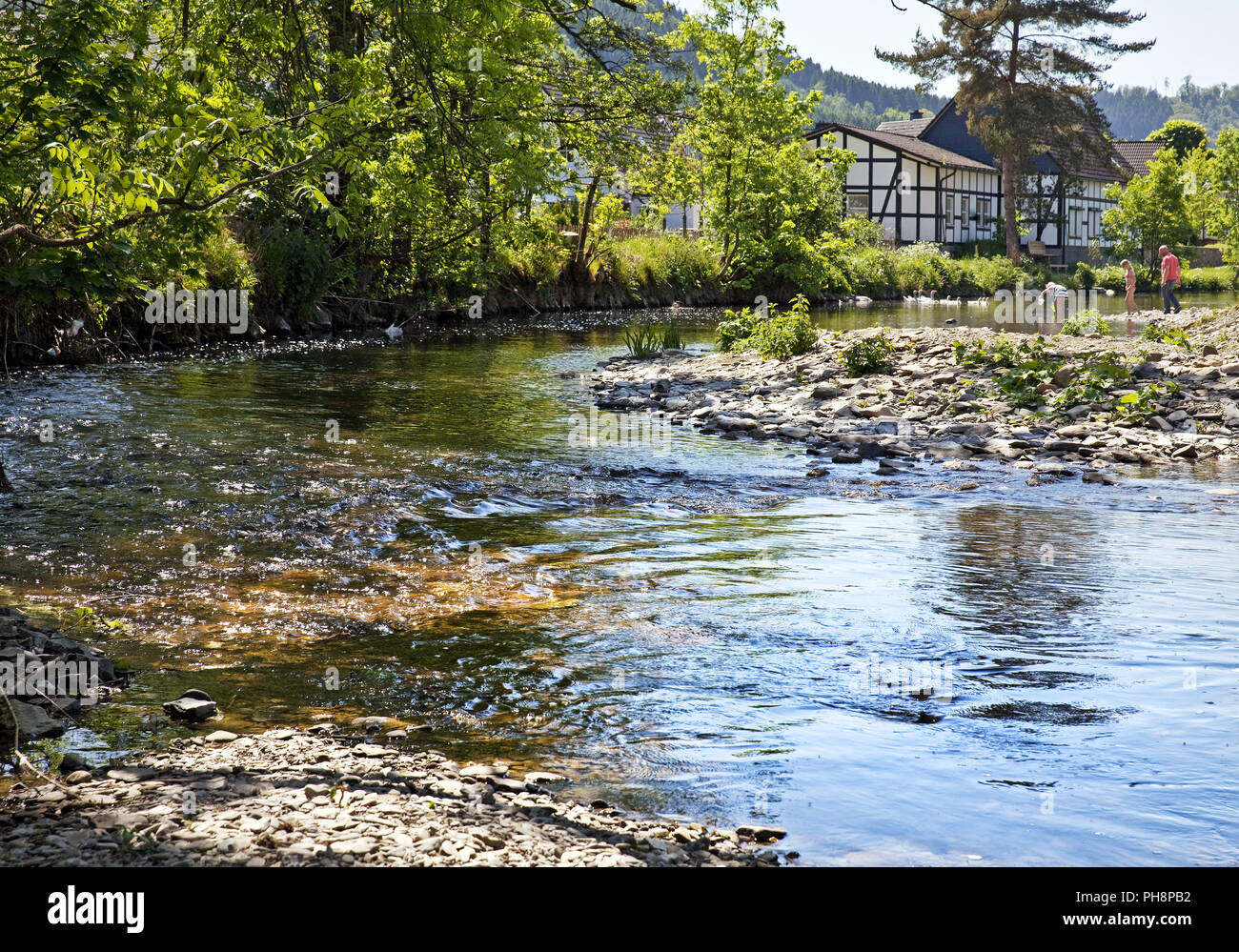 Fiume Lenne Saalhausen distretto, Lennestadt Foto Stock