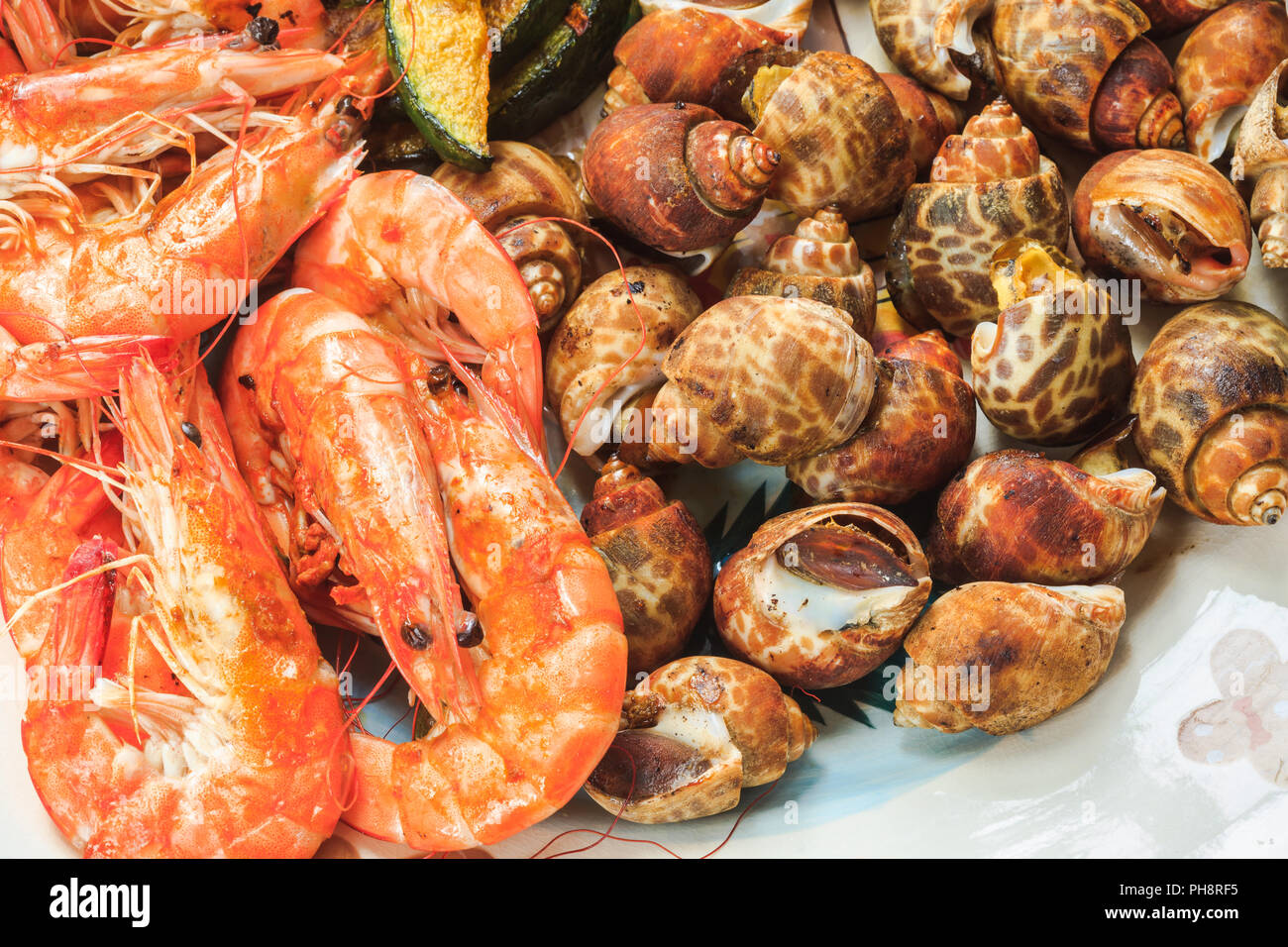 Gamberetti e spotted Babilonia Foto Stock