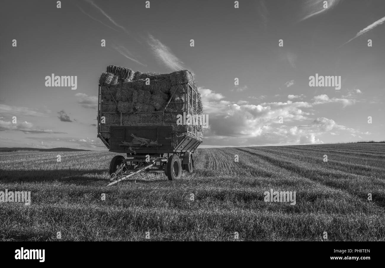 Carro di fieno Foto Stock