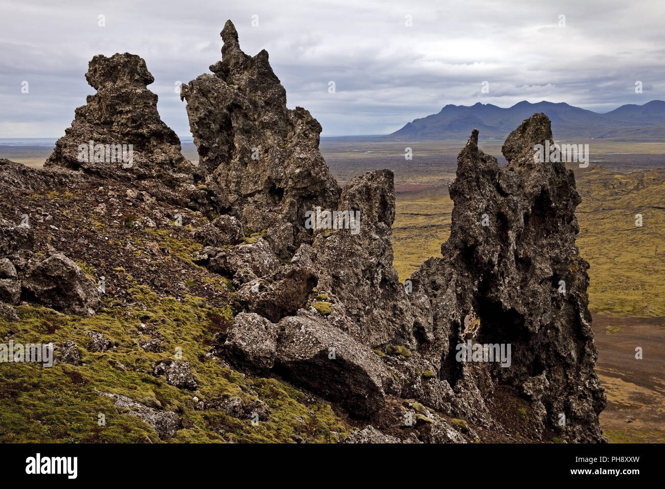 Rocce laviche di Kolbeinsstadarfjall, Snaefellsnes, Islanda Foto Stock