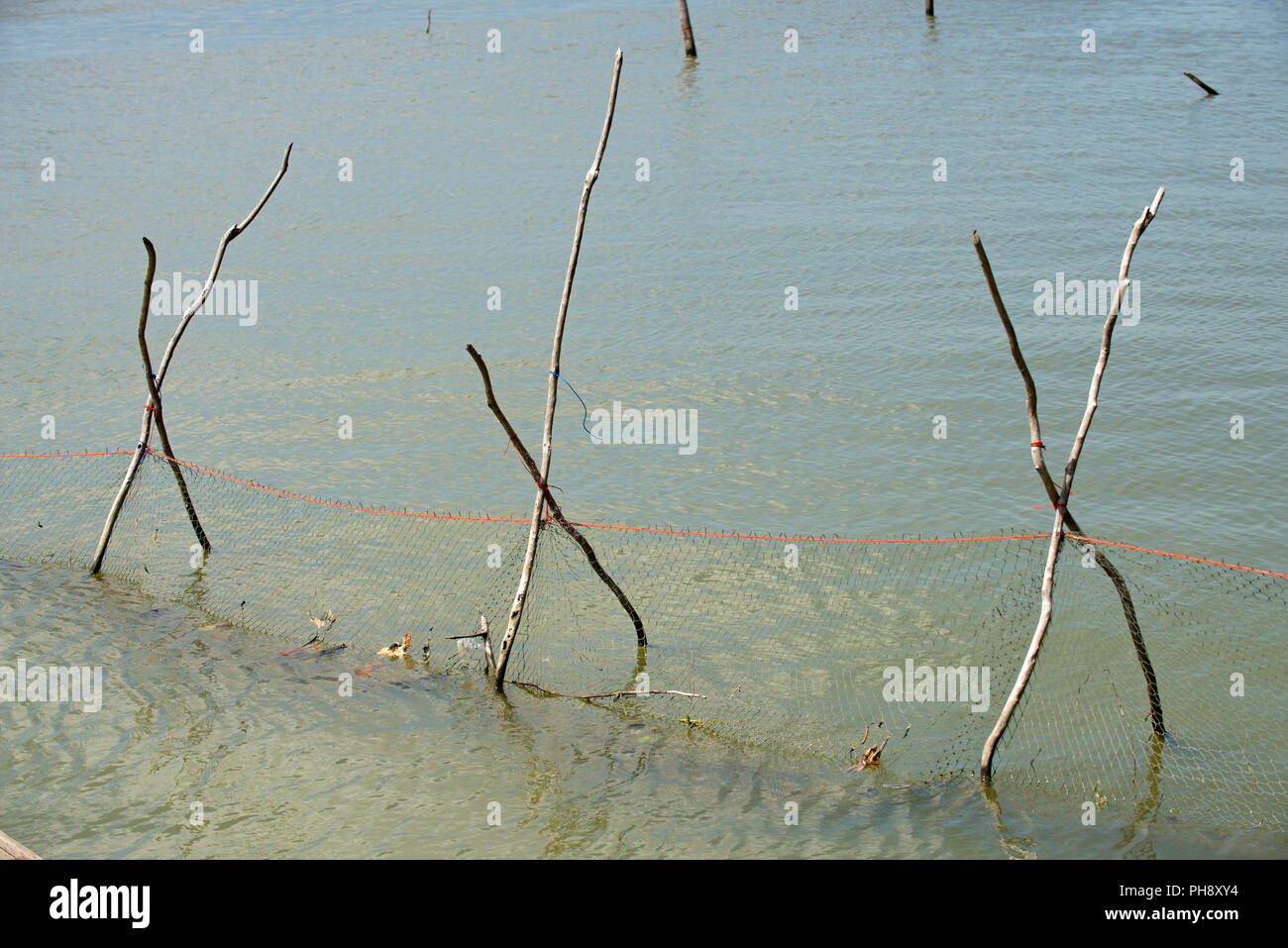 Thailandia, Songkhla, Koh Yo, la pesca in acqua dolce Foto Stock