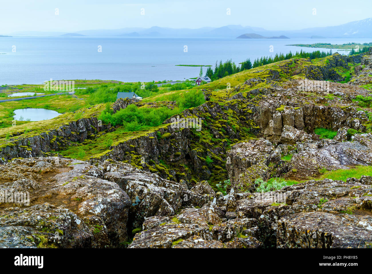 Islanda paesaggio estivo a Thingvellir National Park Foto Stock