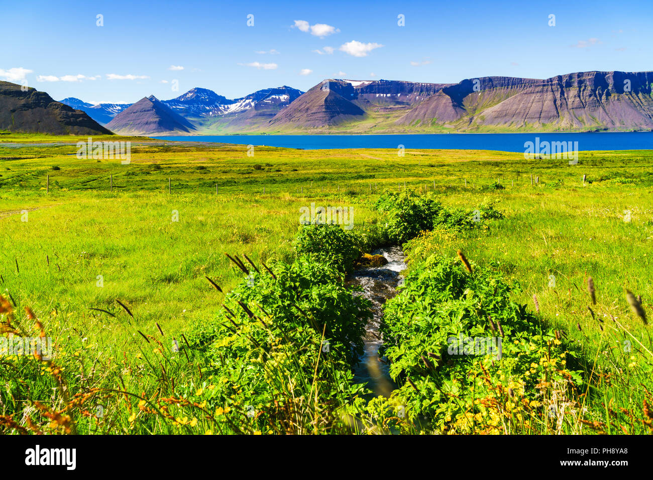 Paesaggio islandese di montagna e il campo al mattino Foto Stock