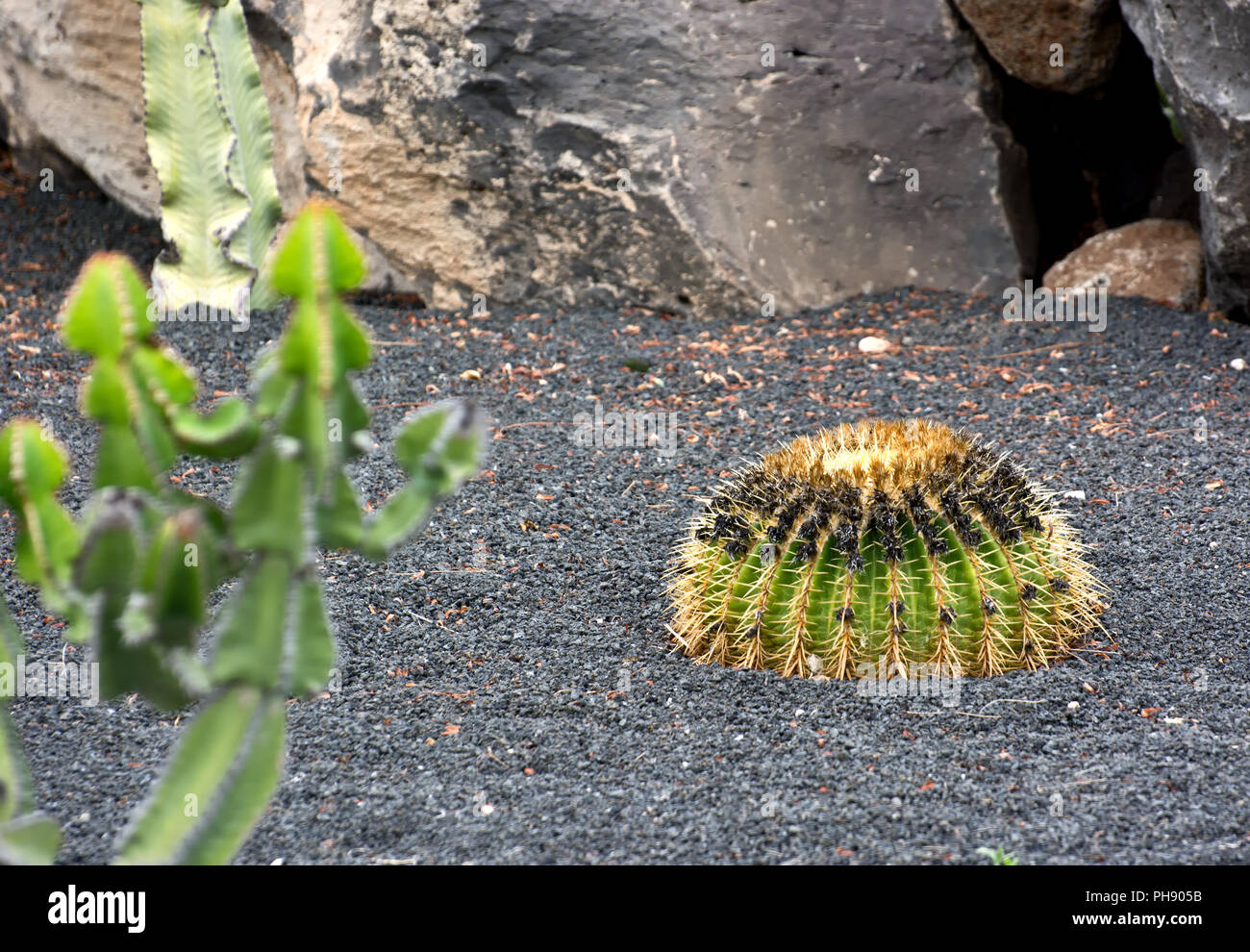 Lanzarote Foto Stock