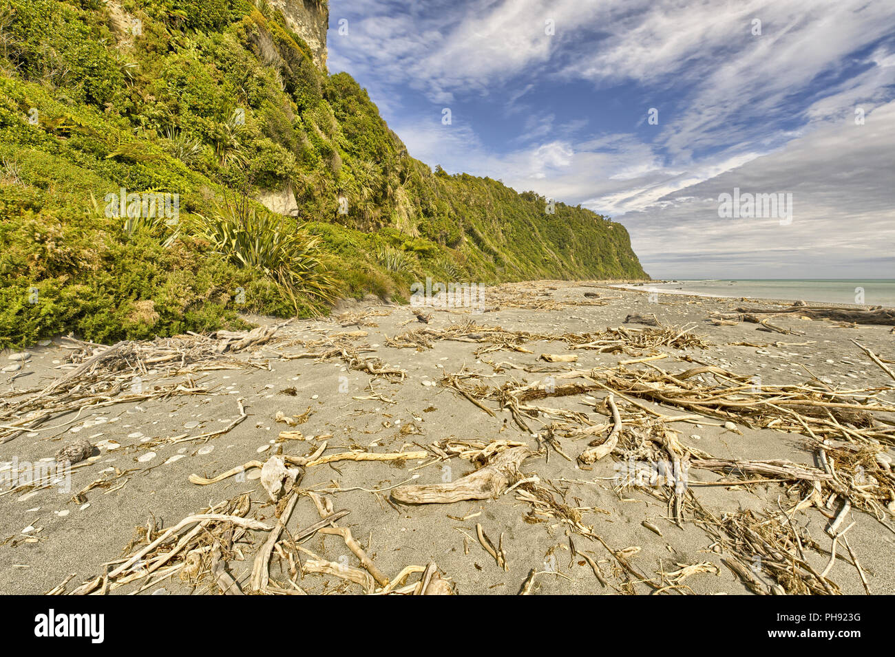 Driftwood sulla spiaggia Okarito Foto Stock