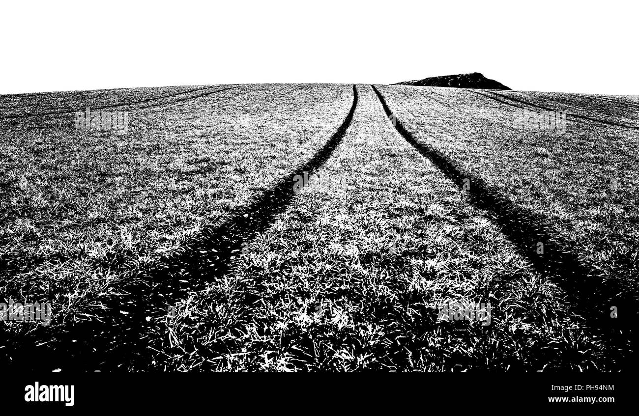 Tracce di campo Foto Stock
