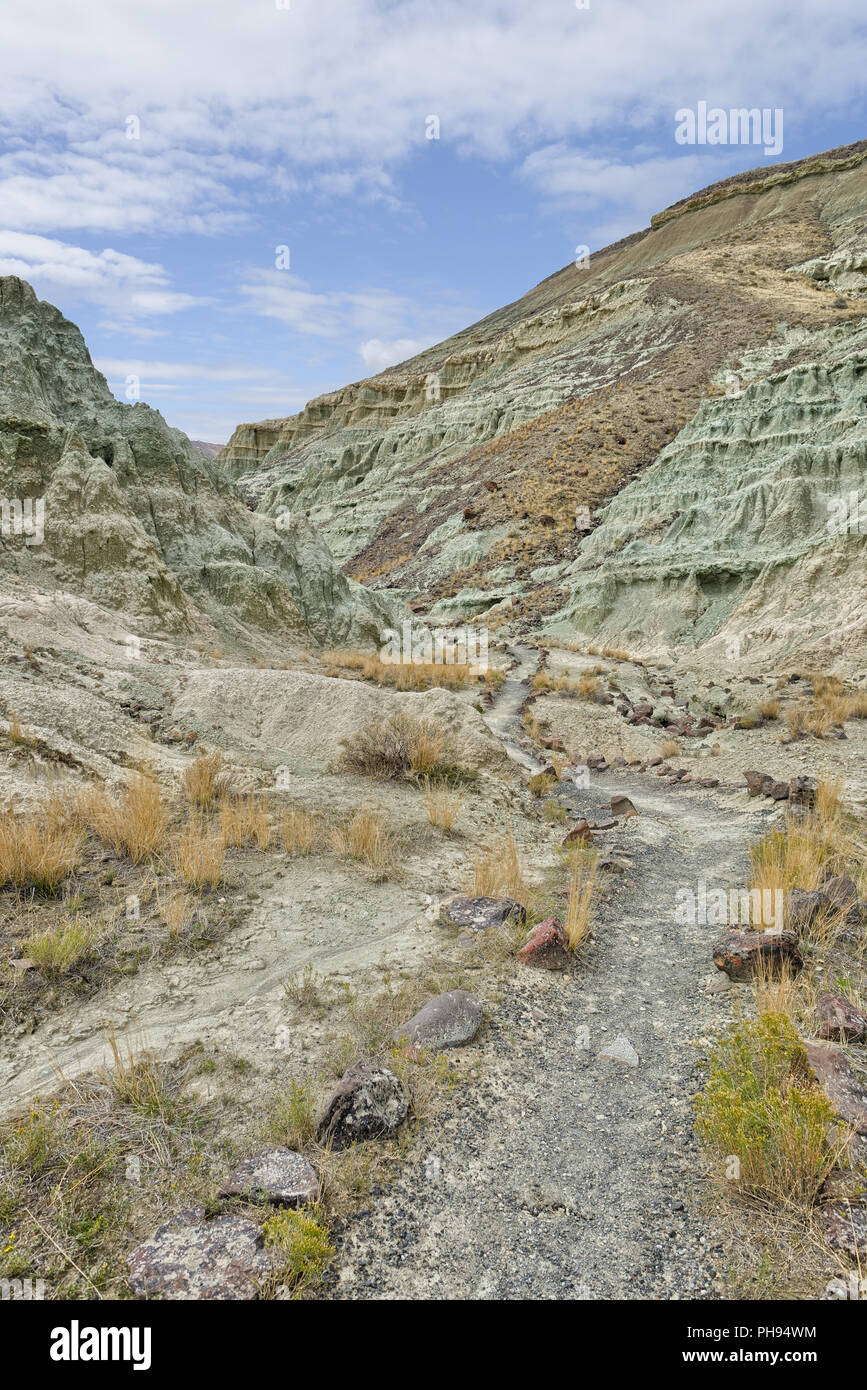 Pecora Gruppo Rock, John Day Fossil Beds National Monument Foto Stock