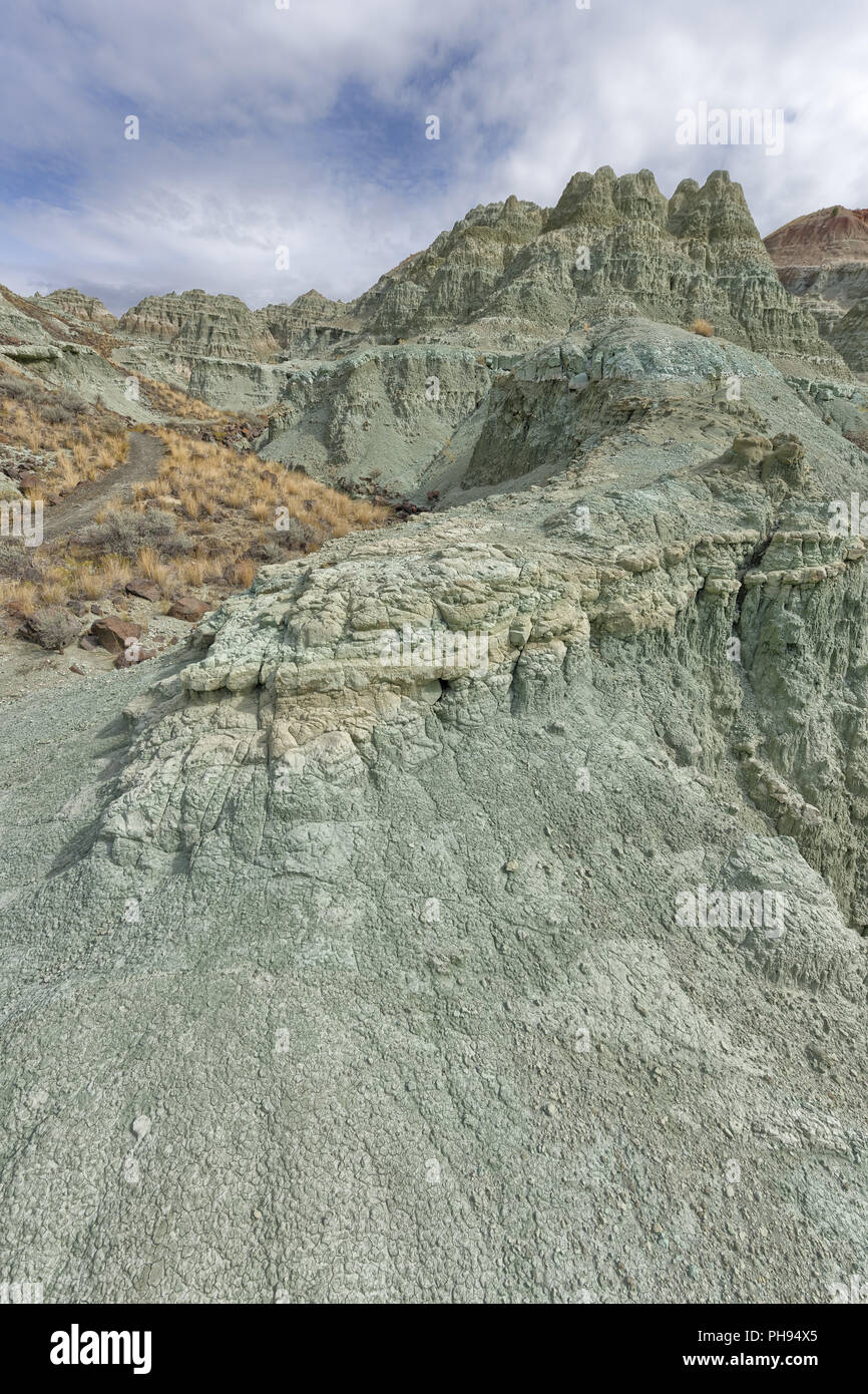 Pecora Gruppo Rock, John Day Fossil Beds National Monument Foto Stock