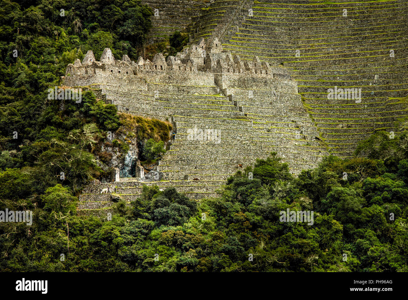 Le Rovine Inca di Winay Wayna, compresi i terrazzi agricoli e dei suoi microclimi,, lungo il cammino degli Inca alla scoperta di Machu Picchu. La Valle Sacra, Perù Foto Stock
