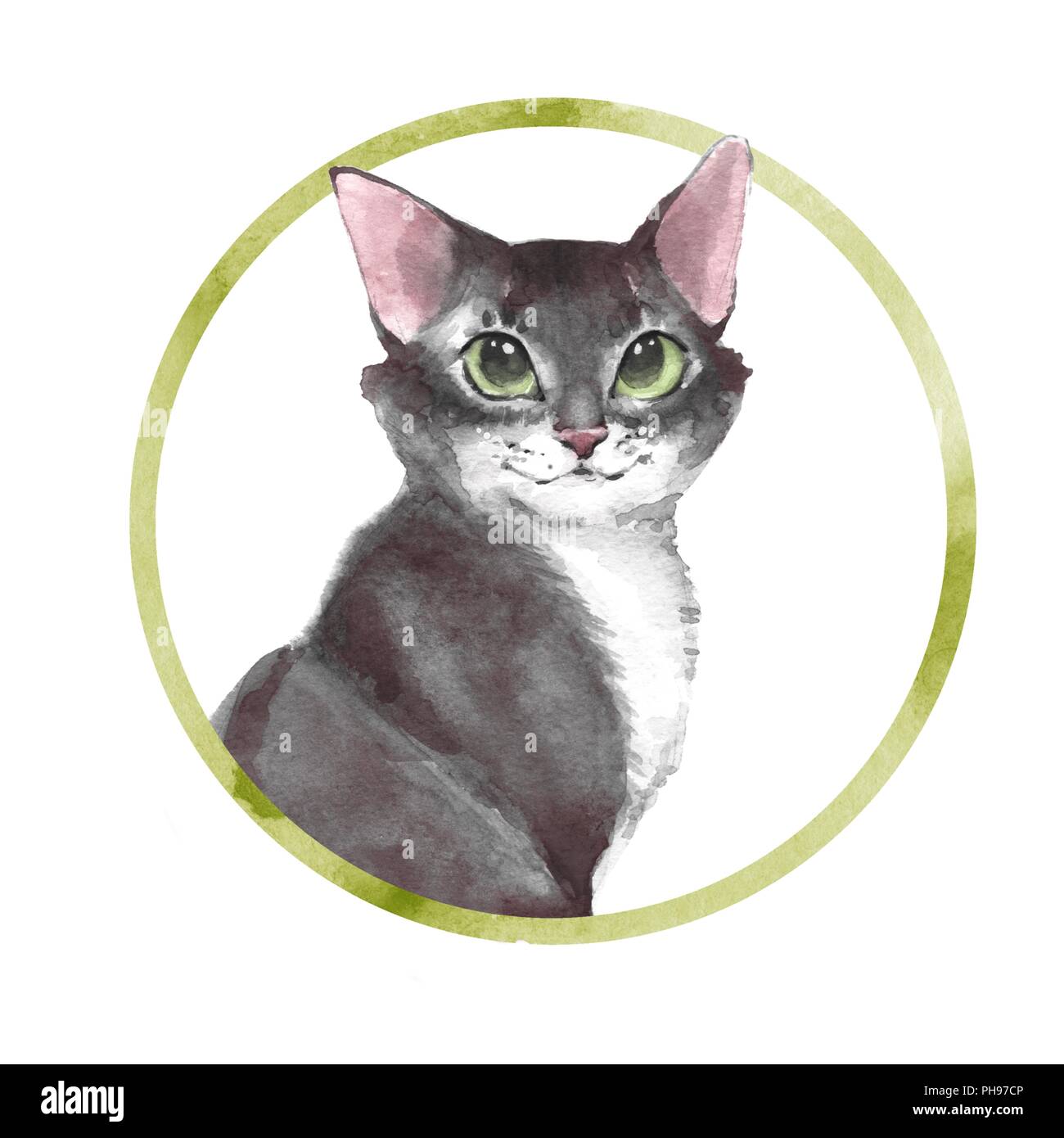 Simpatico gatto grigio. Illustrazione ad acquerello isolato su bianco Foto Stock