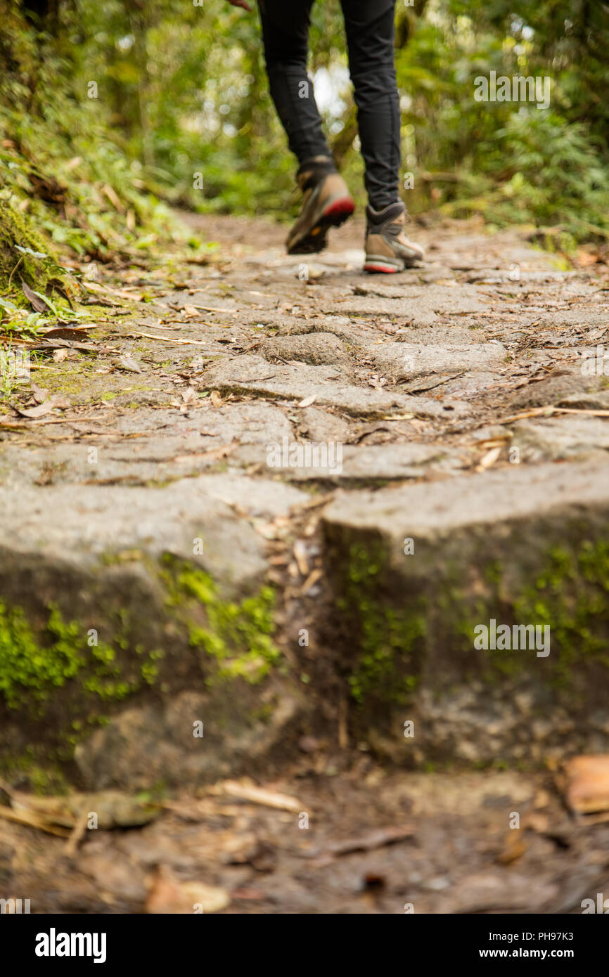 Orme sul Cammino Inca verso Machu Picchu, le pietre originali lungo la strada di pietra prevista dalla civiltà inca. Perù Foto Stock Orme sul Cammino Inca verso Machu Picchu, le pietre originali lungo la strada di pietra prevista dalla civiltà inca. Perù Foto Stock