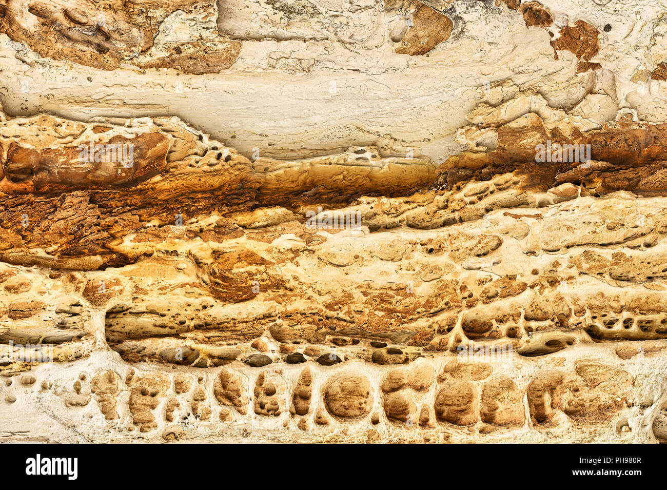 Arenaria erosa in Cattedrale Gorge Foto Stock