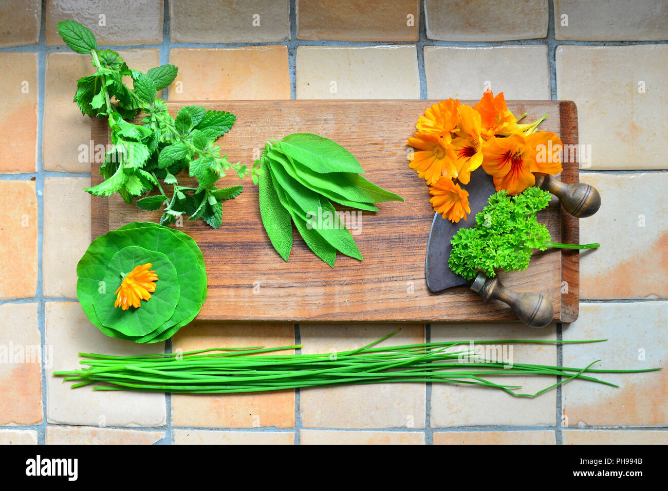 Erbe su una tavola di legno e il coltello Foto Stock