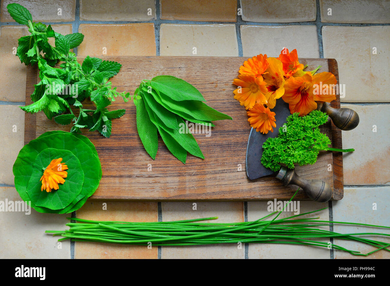Erbe su una tavola di legno e il coltello Foto Stock