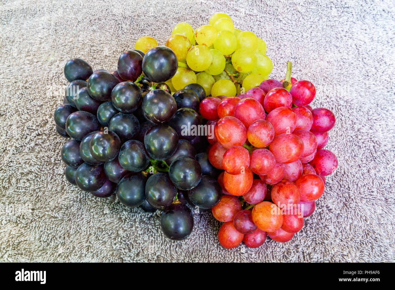 Tre tipi di uve fresche Foto Stock