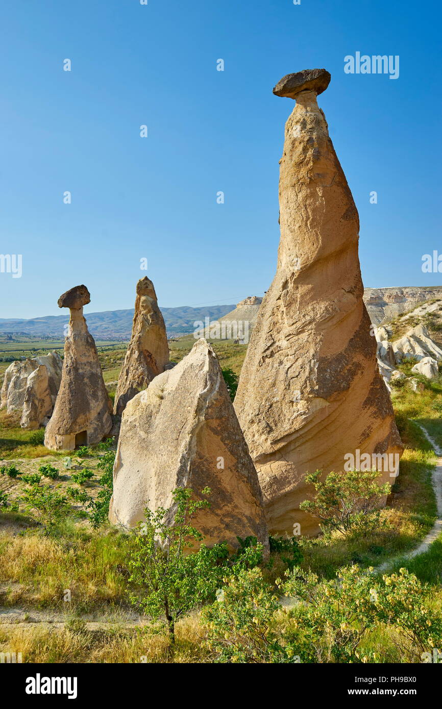 Camini di Fata formazione di roccia, Goreme, Cappadocia, Turchia Foto Stock