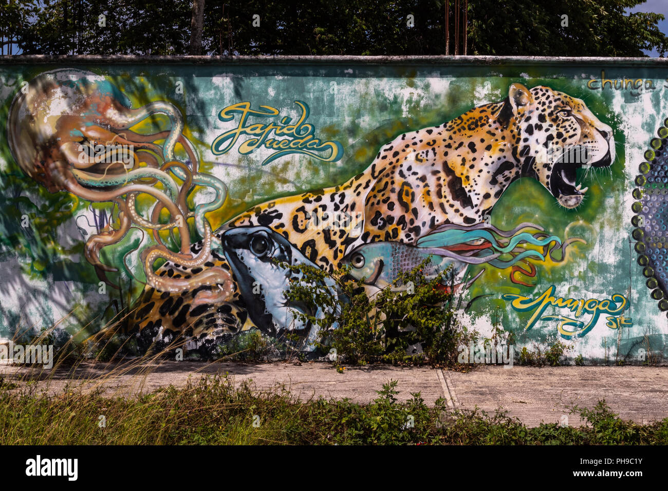 COZUMEL, Messico; Agosto 03 2018. Arte Urbana di espressioni. Graffitti ha gradualmente spostata da atti di vandalismo per artpiece. Foto Stock