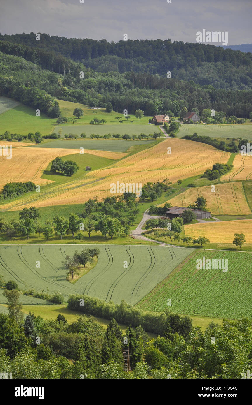 Vista dal farro piccolo collina nei dintorni di Schwaebisch Hall, Germania Foto Stock