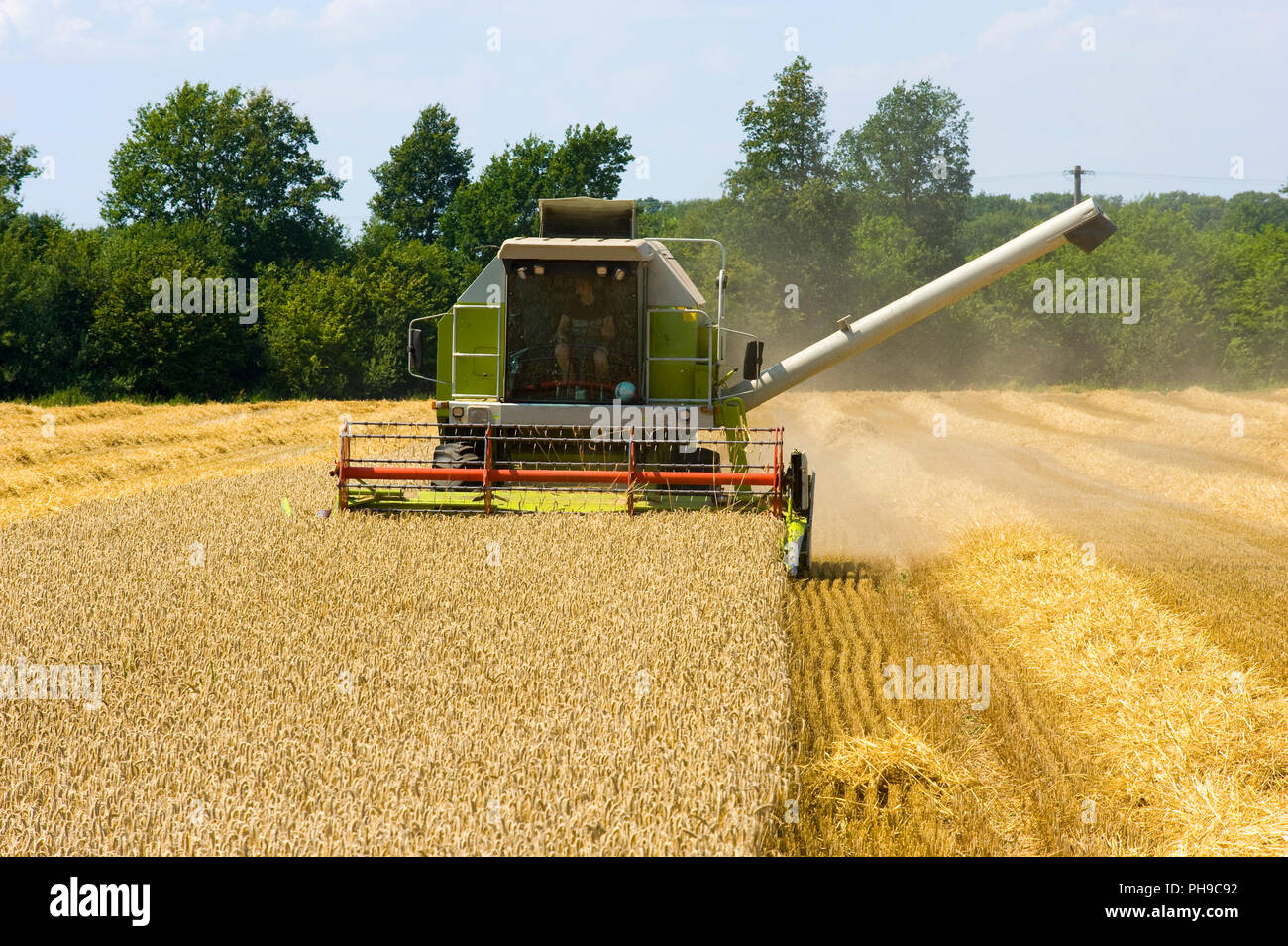 Una macchina mietitrebbiatrice è occupato con la mietitura del grano nella summr in Germania Foto Stock