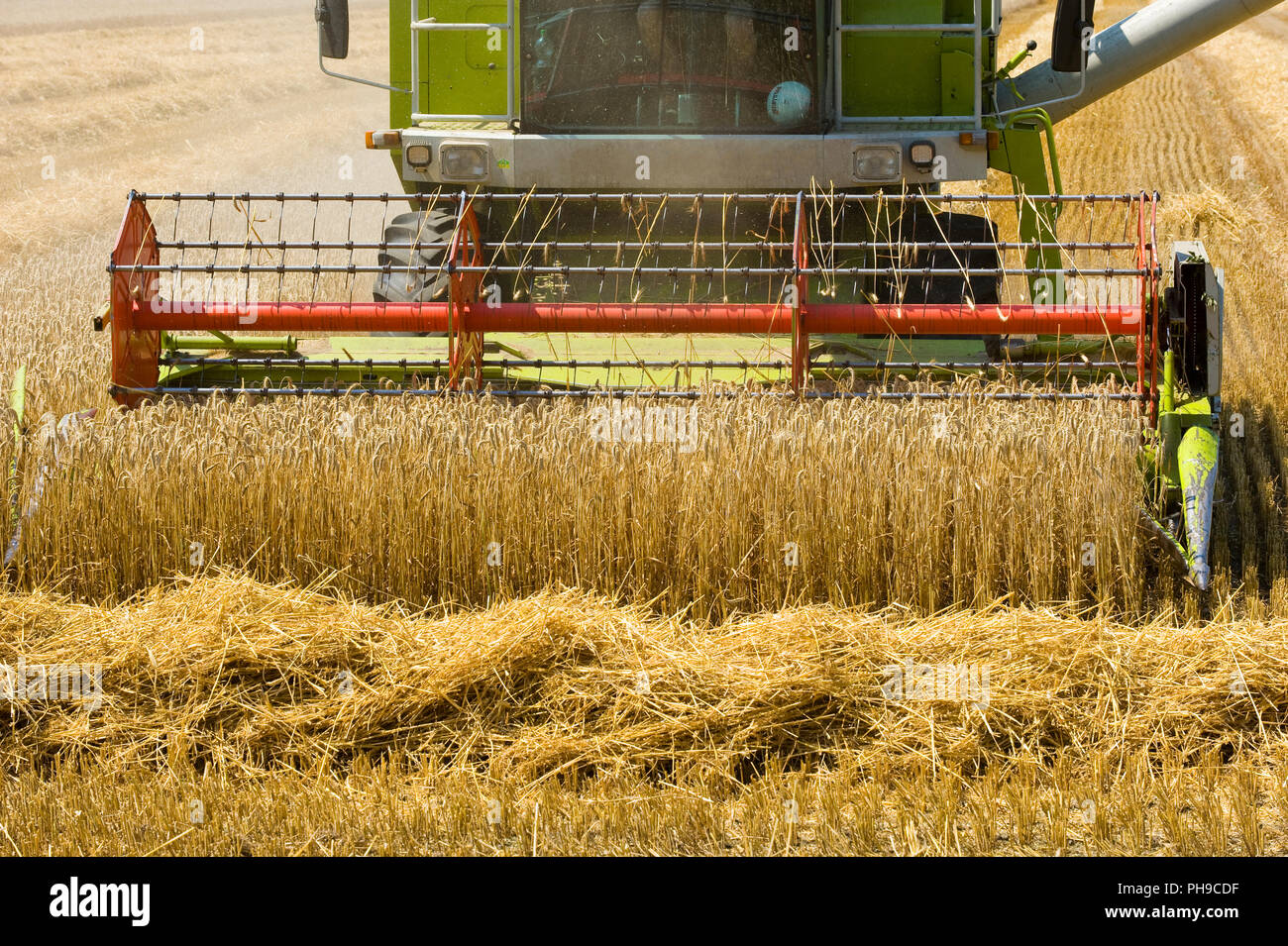 Una macchina mietitrebbiatrice è occupato con la mietitura del grano nella summr in Germania Foto Stock