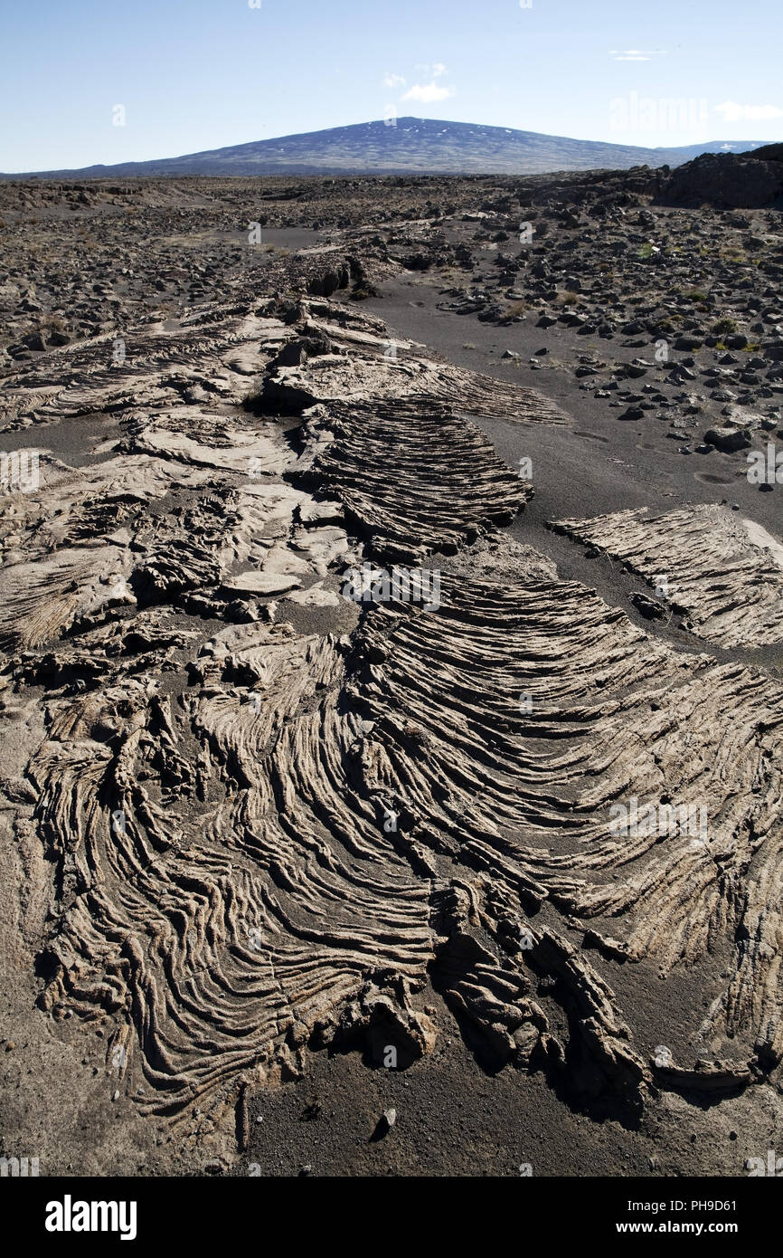 Vulcano a scudo immagini e fotografie stock ad alta risoluzione
