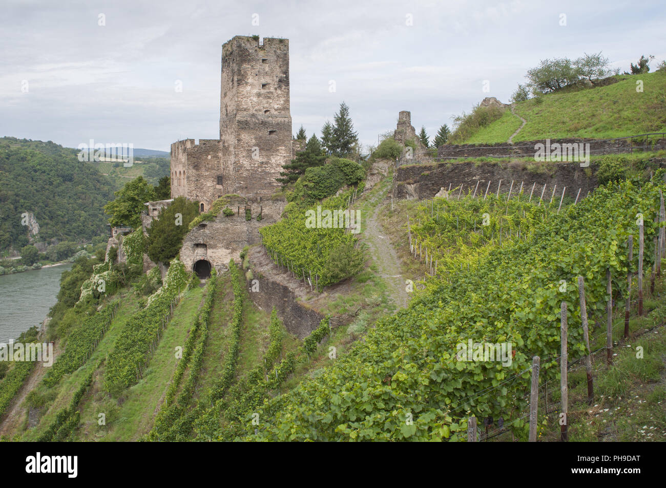 Castello sopra Gutenfels Kaub nel Middle-Rhine-valle Foto Stock