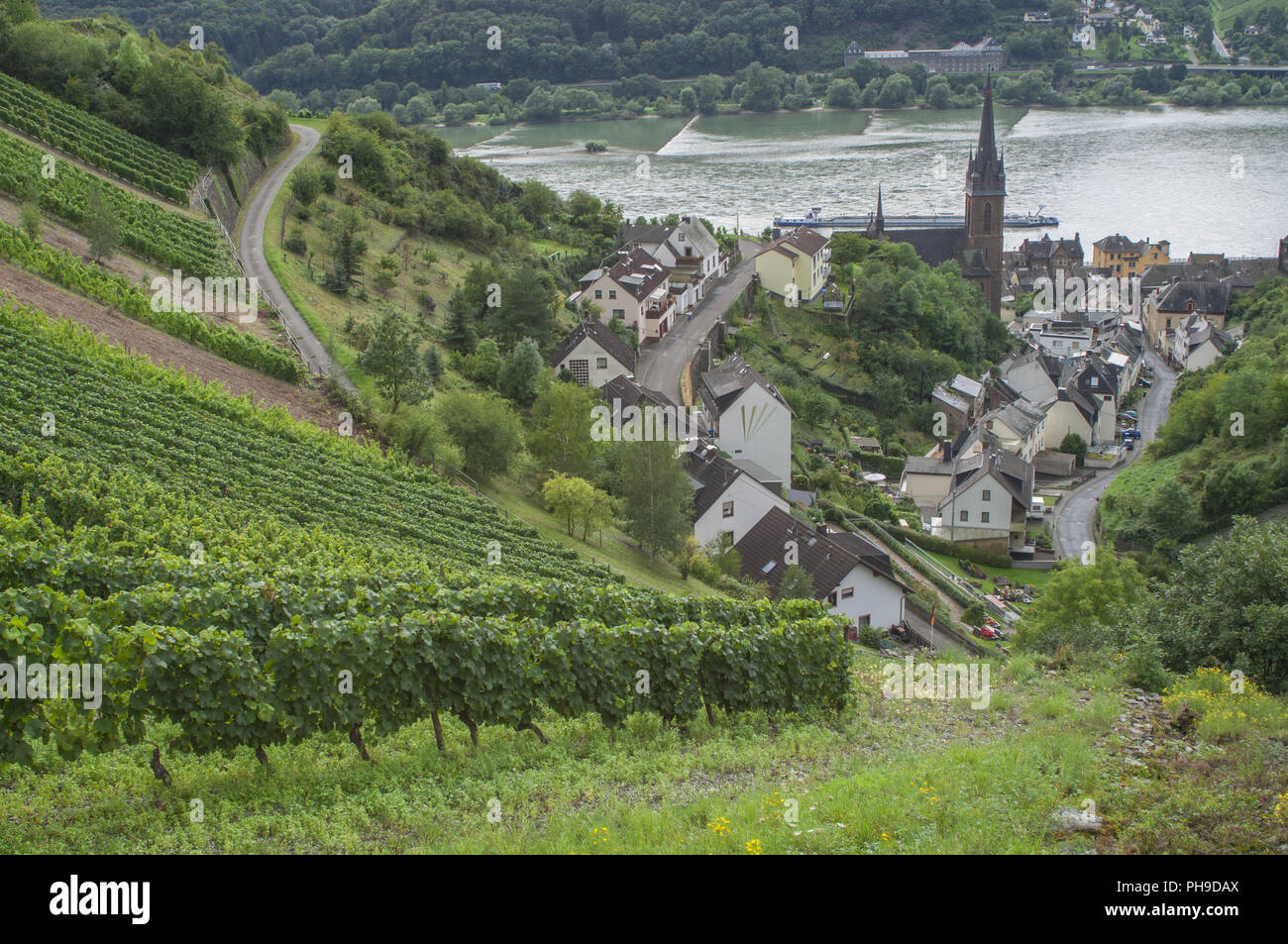 Lorchhausen nella valle Middle-Rhine, Germania Foto Stock