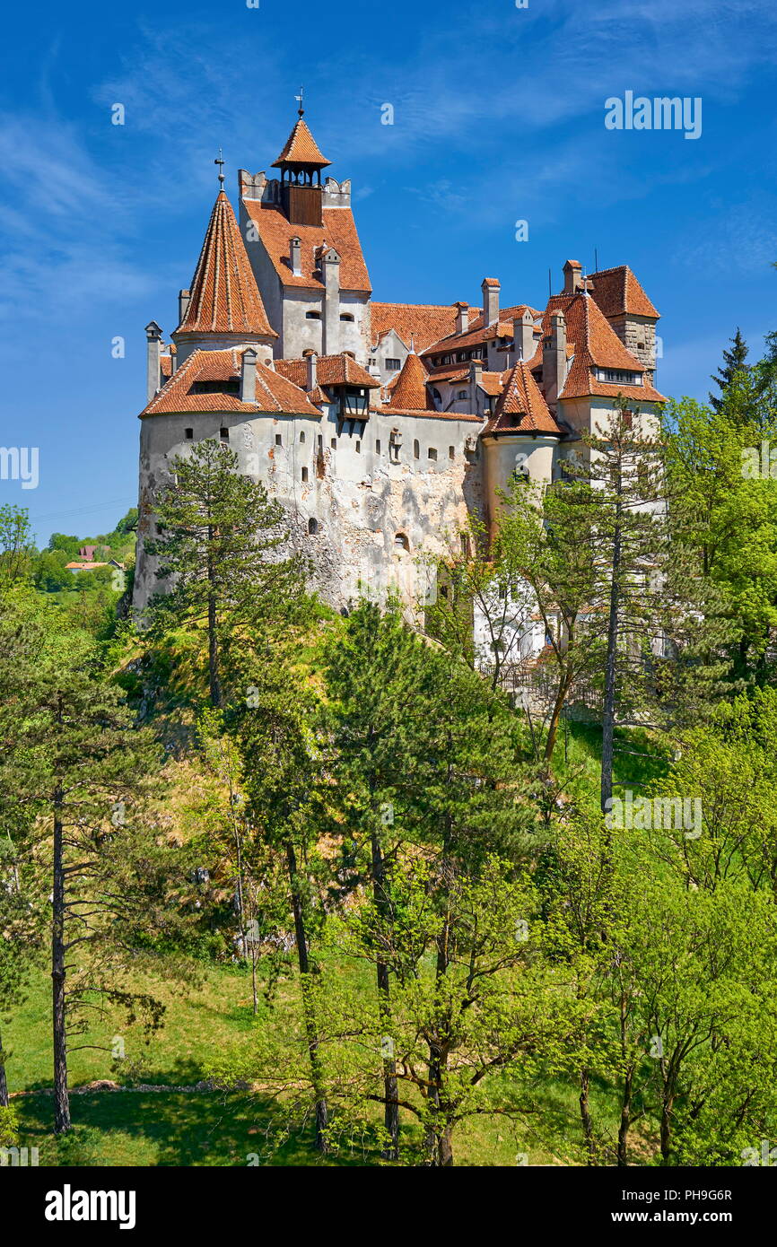 Il Castello di Dracula, crusca, Transilvania, Romania Foto Stock