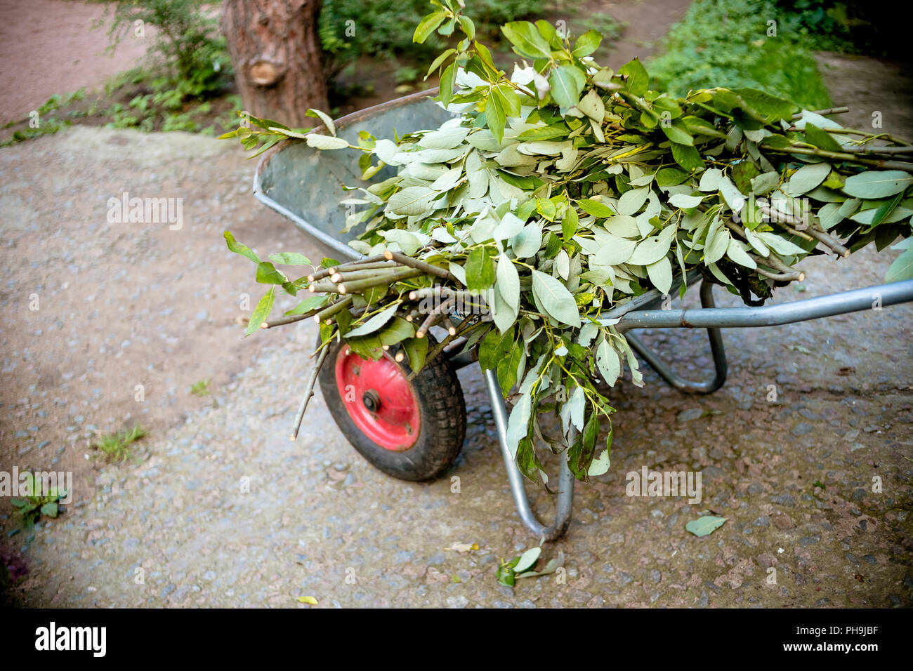 Un Tavolo a rotelle da giardino con fiori recisi. Fine della stagione estiva. Pulizia di autunno in giardino. Fine della stagione estiva Foto Stock
