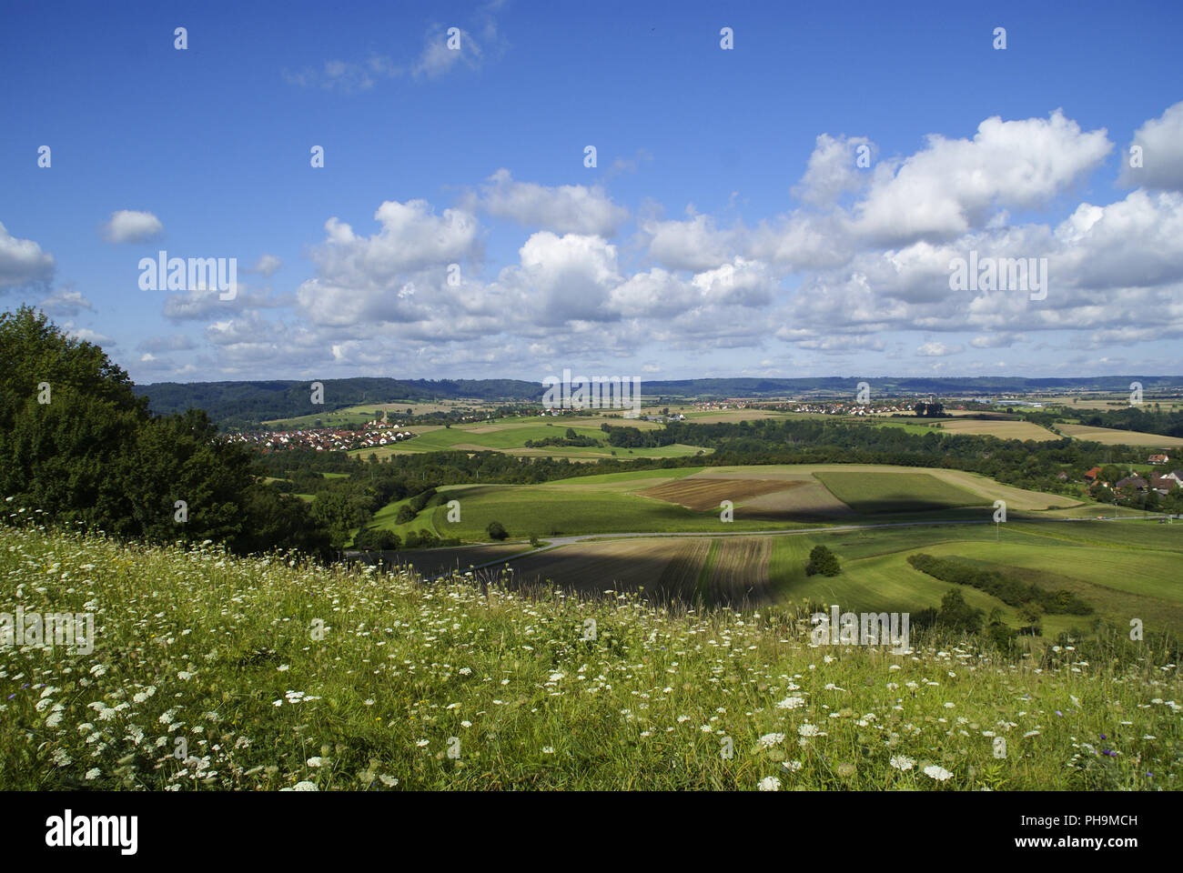 Paesaggio vicino Michelbach, Baden-Wuerttemberg, Germania Foto Stock