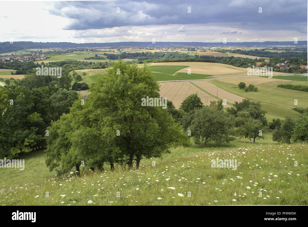 Paesaggio vicino Michelbach, Baden-Wuerttemberg, Germania Foto Stock