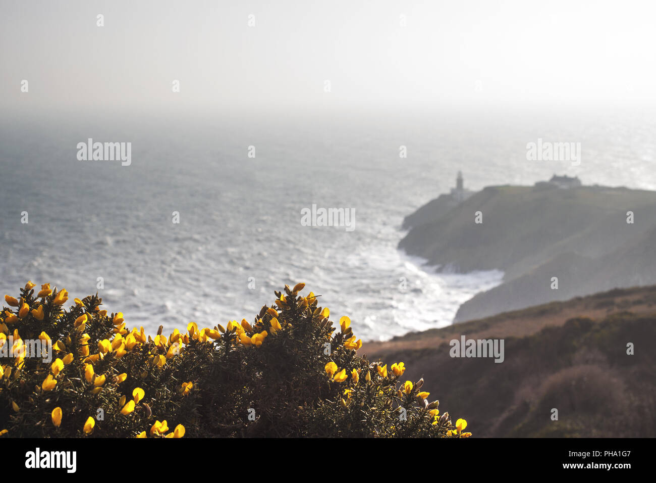 La Baily Lighthouse, Howth, Irlanda Foto Stock