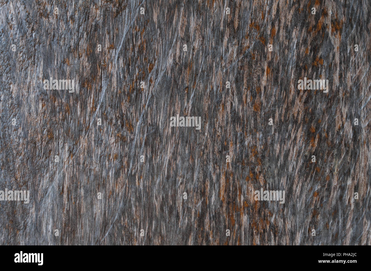 Rustico grigio, marrone Sfondo legno Foto Stock