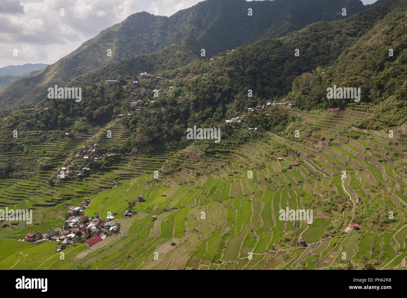 Terrazze di riso di Banaue intorno all'isola di Luzon nelle Filippine. Foto Stock