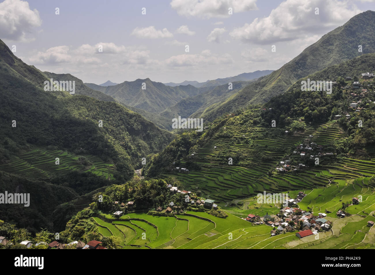 Terrazze di riso di Banaue intorno all'isola di Luzon nelle Filippine. Foto Stock