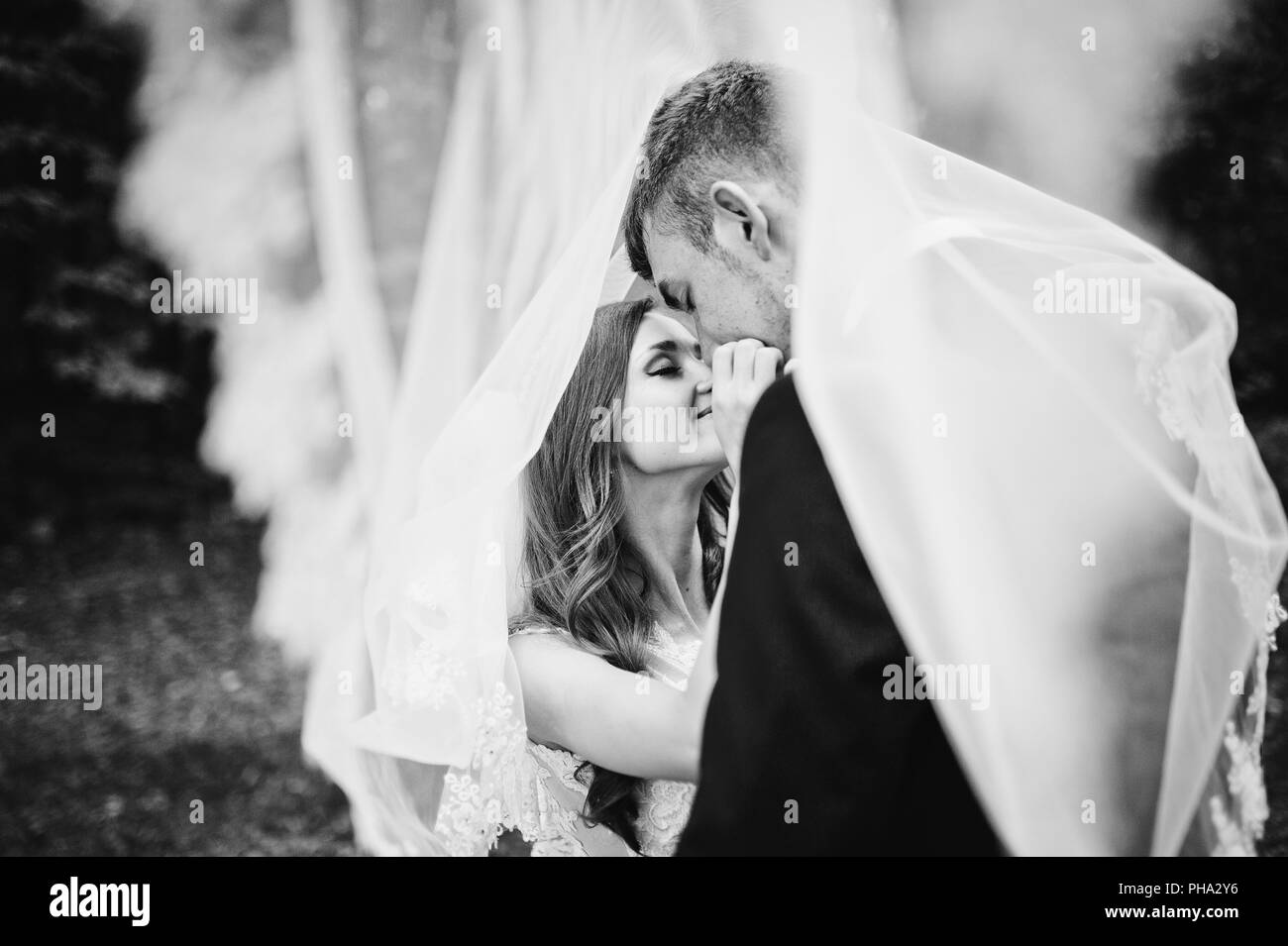 Giovani coppie in viaggio di nozze sotto il velo cercando ogni altro Foto Stock