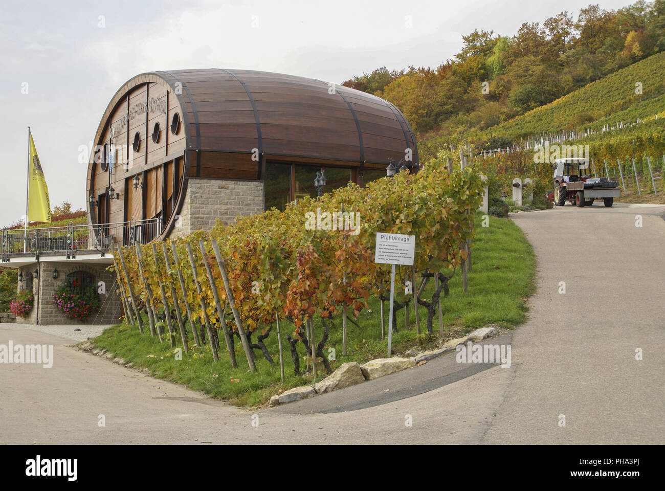 Botte di vino in Ingelfingen, Baden-Wuerttemberg, Germania Foto Stock