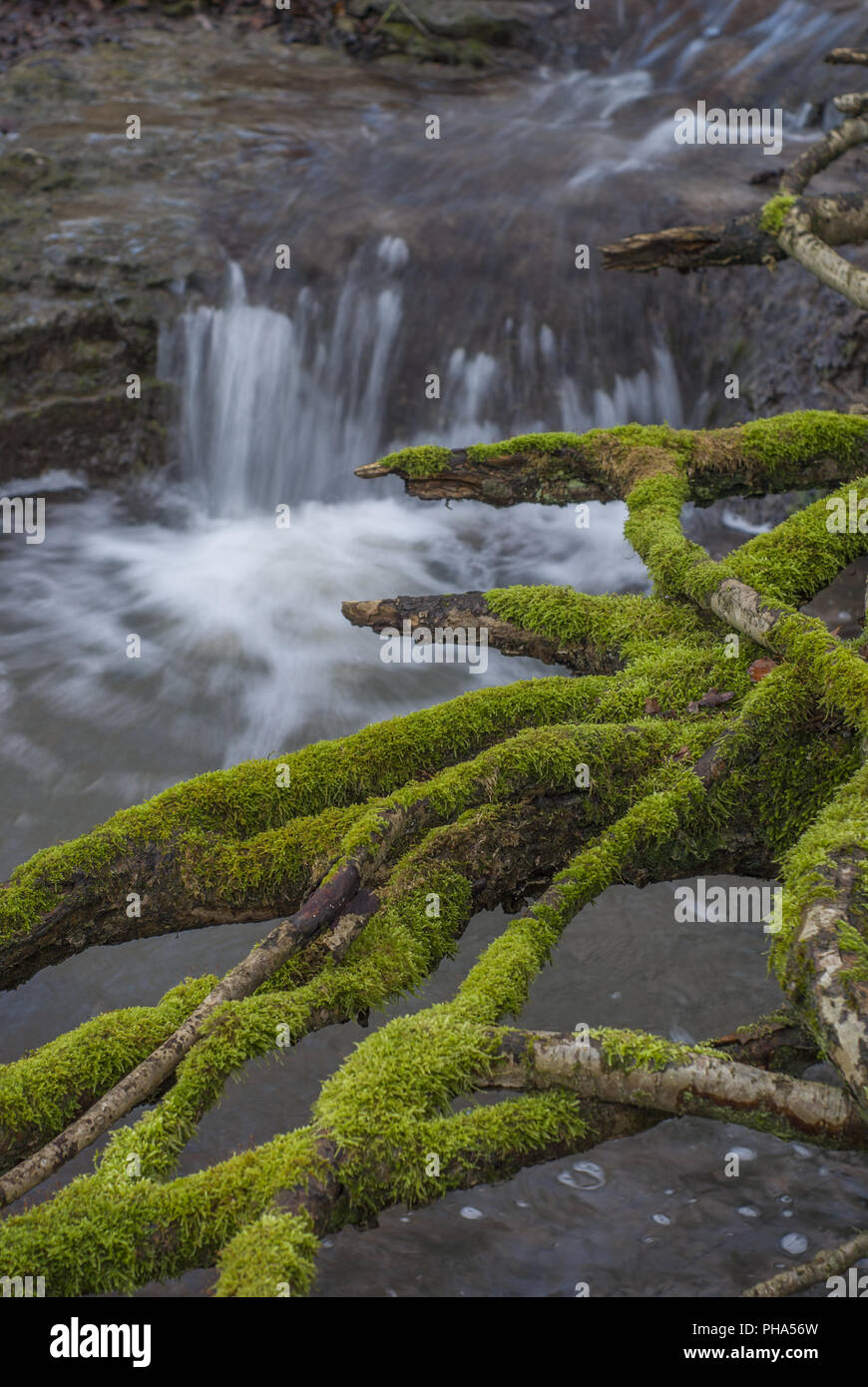 Brook chiamato Eselsklinge nei dintorni di Schwaebisch Hall, Germania Foto Stock