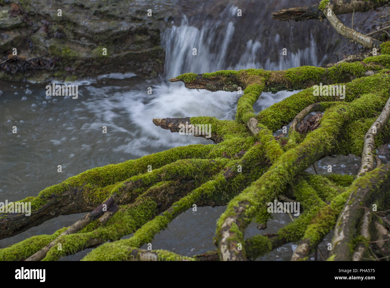 Brook chiamato Eselsklinge nei dintorni di Schwaebisch Hall, Germania Foto Stock