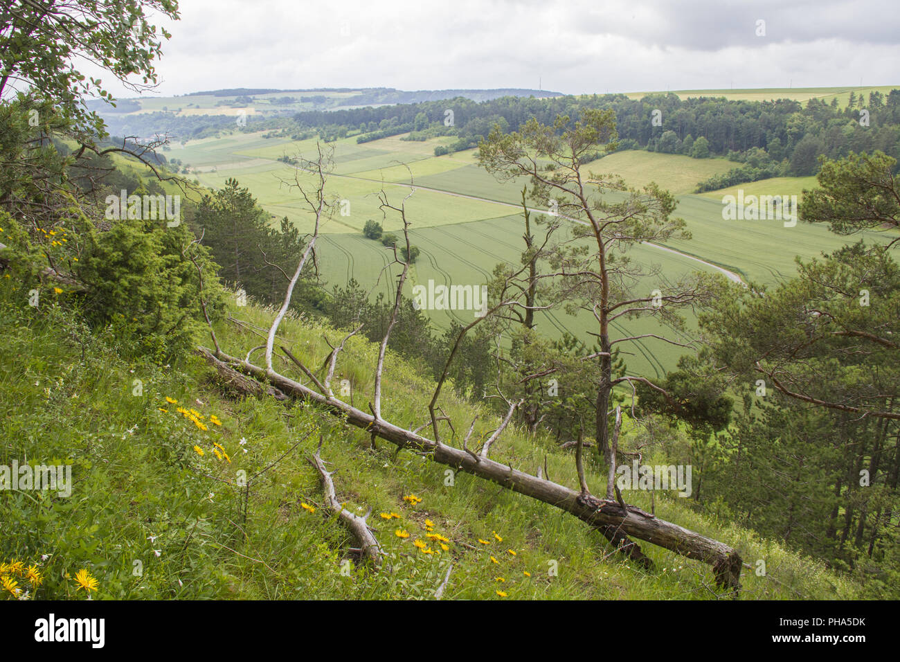 Paesaggio protetto nella valle Tauber vicino Koenigheim, Germania Foto Stock
