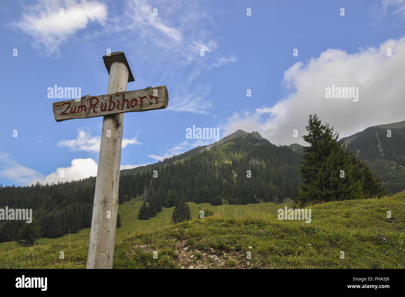 Percorso escursionistico in Algovia orientale vicino a Oberstdorf, Germania Foto Stock