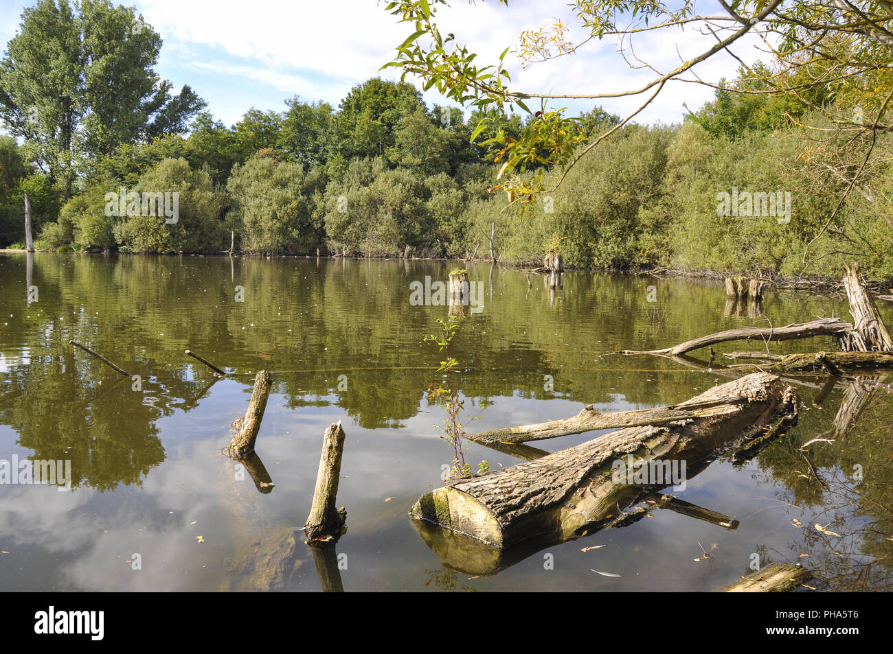 Piccolo lago nei dintorni di Schwaebisch Hall chiamato Heidsee, Germania Foto Stock