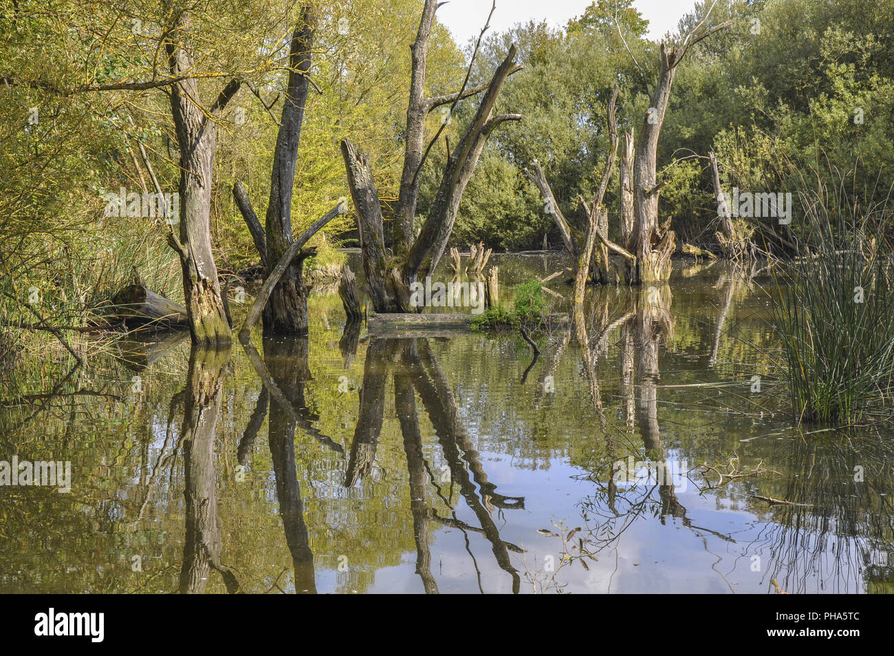 Piccolo laghetto nei dintorni di Schwaebisch Hall chiamato Heidsee, Germania Foto Stock