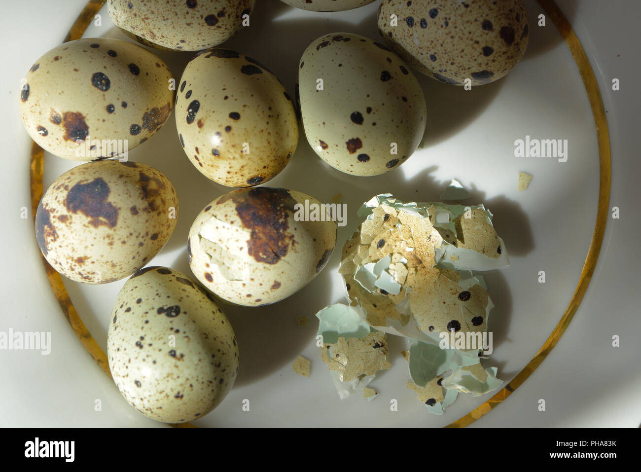 Bollito di uova di quaglia e shell su una piastra bianca di close-up, vista dall'alto Foto Stock