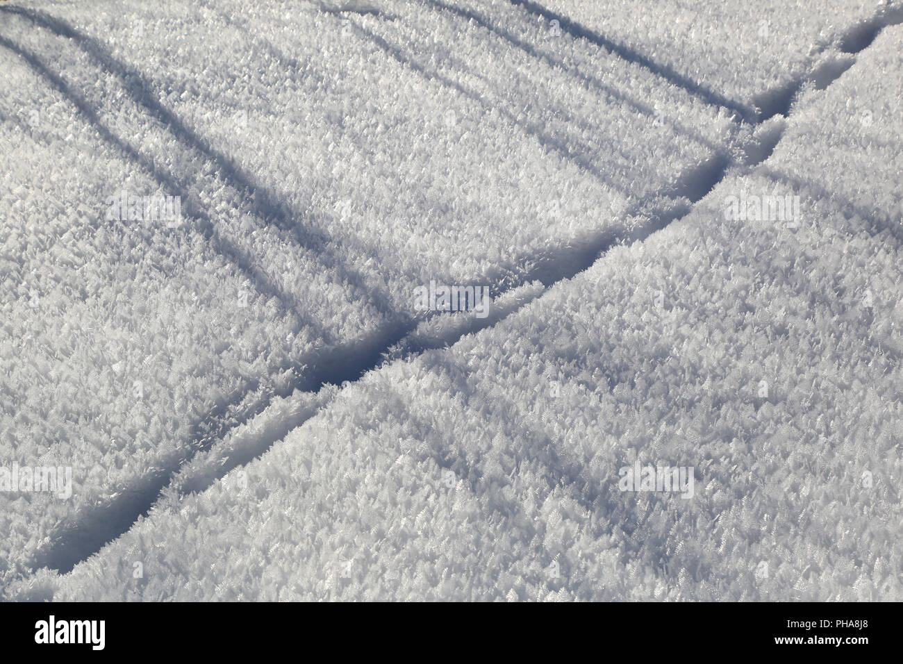 Animale traccia ina campo di neve Foto Stock
