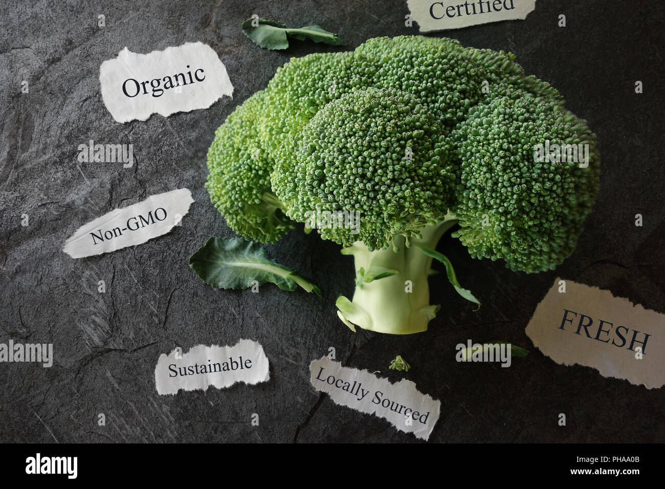 Alimenti biologici concept Foto Stock