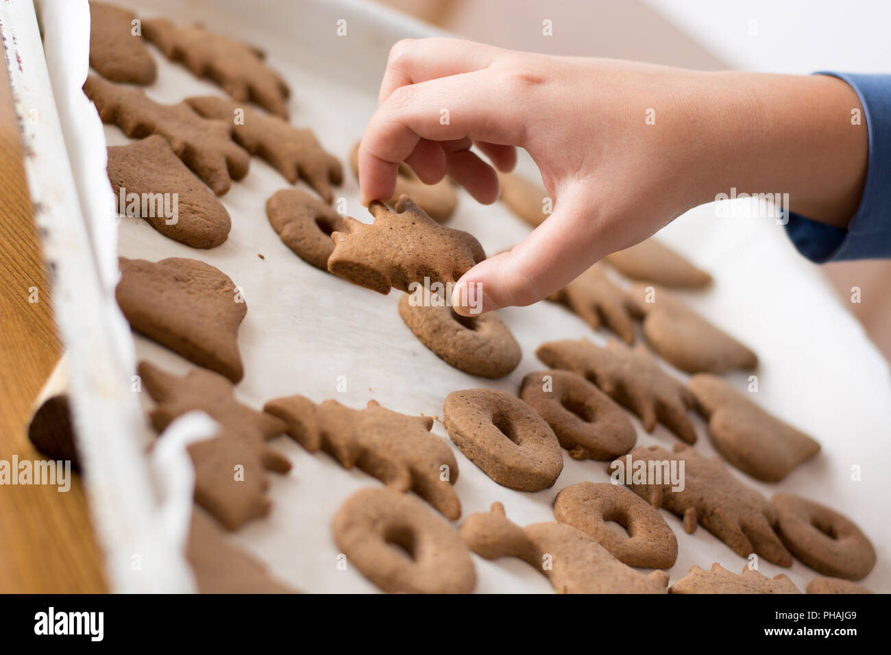 Il prelievo di pasqua gingerbread cookie. Foto Stock