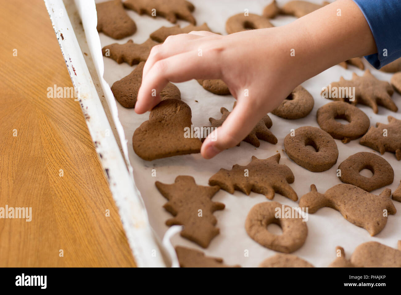 Il prelievo di pasqua gingerbread cookie. Foto Stock
