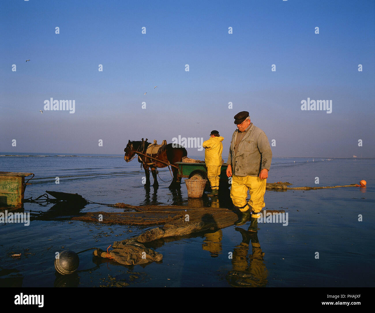 Pecheur de crevettes à Cheval - Belgique - pesca Schrimps a cavallo - Belgio Foto Stock