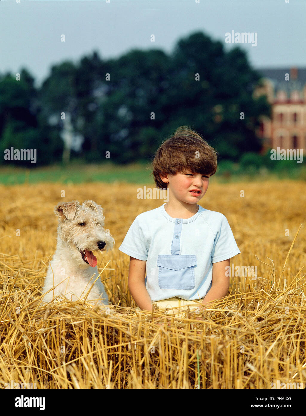 Garçon et chien - fox terrier - kid e cane Foto Stock